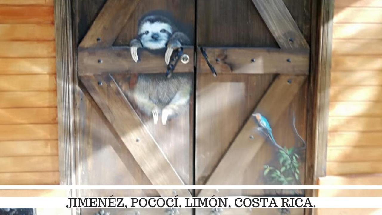 Salamandra Costa Rica Jimenez 외부 사진